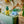LEGO Botanical Collection Happy Plants για 9+ Ετών 217τμχ (10349)