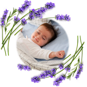 Babyono: Φυσική θερμοφόρα με κουκούτσια από κεράσια και λεβάντα για κολικούς-Ροζ BN796/01