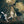Elden Ring Shadow Of The Erdtree Edition PS5 Game