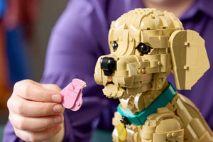 LEGO Icons Golden Retriever Puppy για 18+ Ετών 2102τμχ (11384)