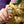 LEGO Icons Golden Retriever Puppy για 18+ Ετών 2102τμχ (11384)