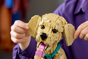 LEGO Icons Golden Retriever Puppy για 18+ Ετών 2102τμχ (11384)