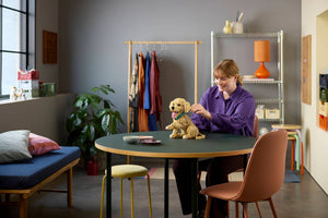 LEGO Icons Golden Retriever Puppy για 18+ Ετών 2102τμχ (11384)