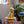 LEGO Icons Golden Retriever Puppy για 18+ Ετών 2102τμχ (11384)