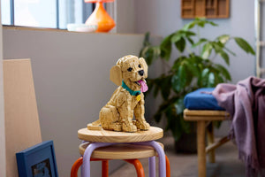 LEGO Icons Golden Retriever Puppy για 18+ Ετών 2102τμχ (11384)