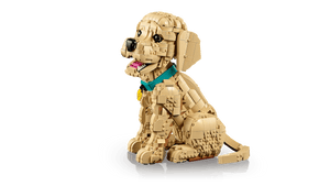 LEGO Icons Golden Retriever Puppy για 18+ Ετών 2102τμχ (11384)